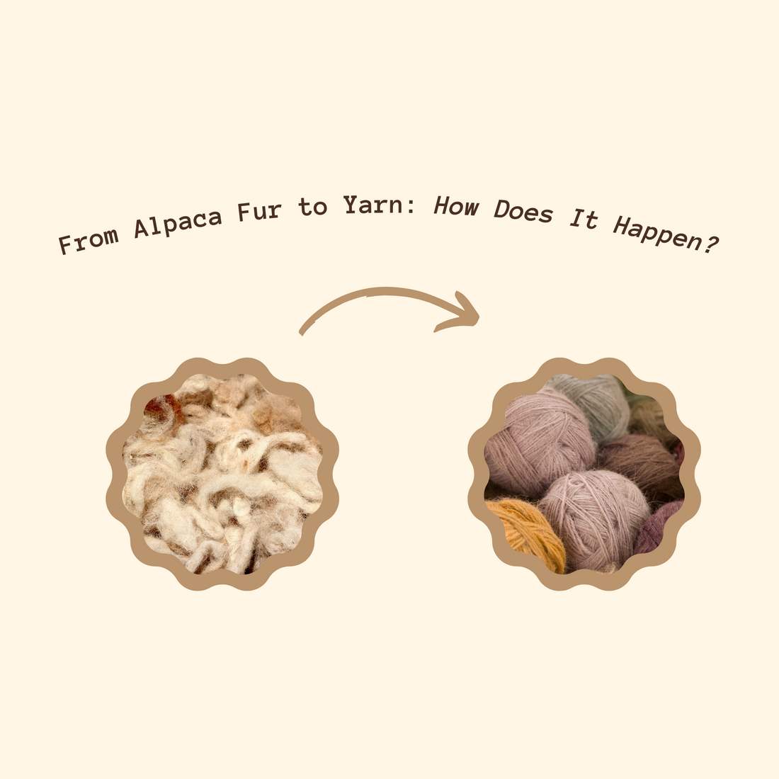 From Alpaca Fur to Yarn: How Does It Happen?