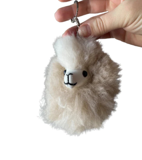 Gifts Under $30