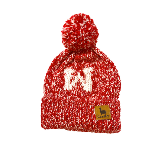 Wisconsin Alpaca Beanie