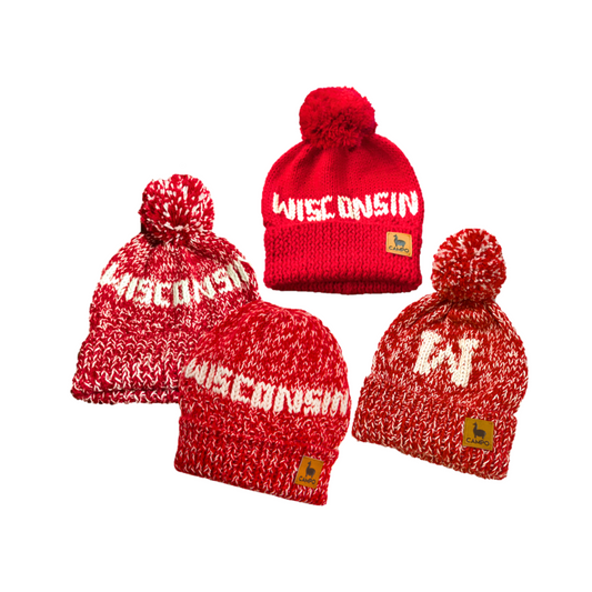 Wisconsin Alpaca Beanie