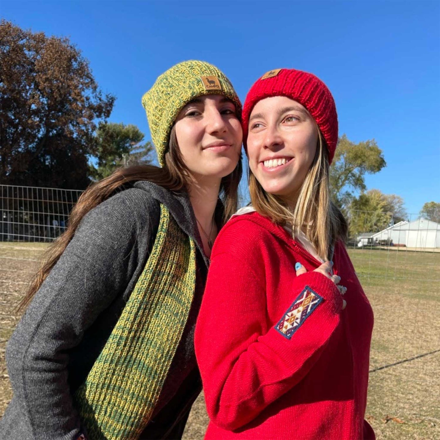 Alpaca Beanie - Green & Yellow