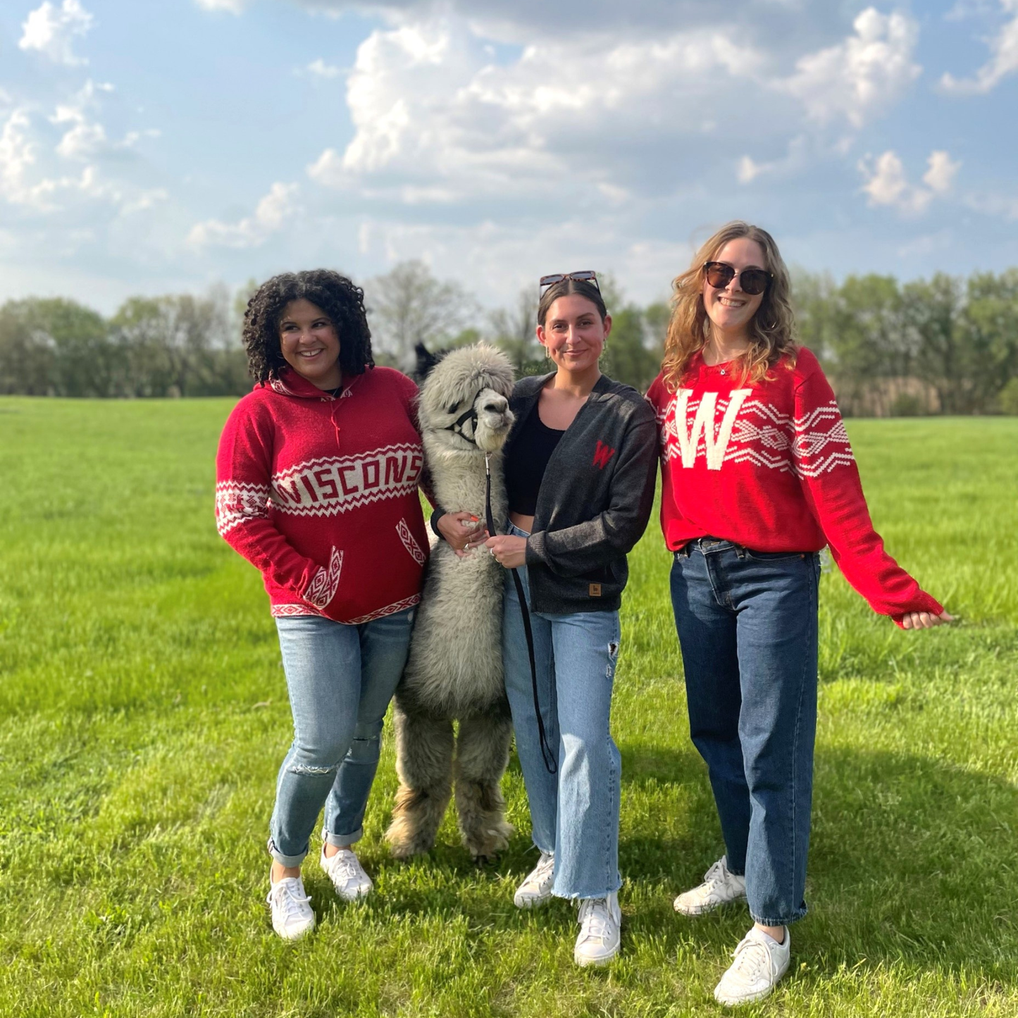 Three people standing in a grassy field with a llama, wearing red and black sweatshirts.