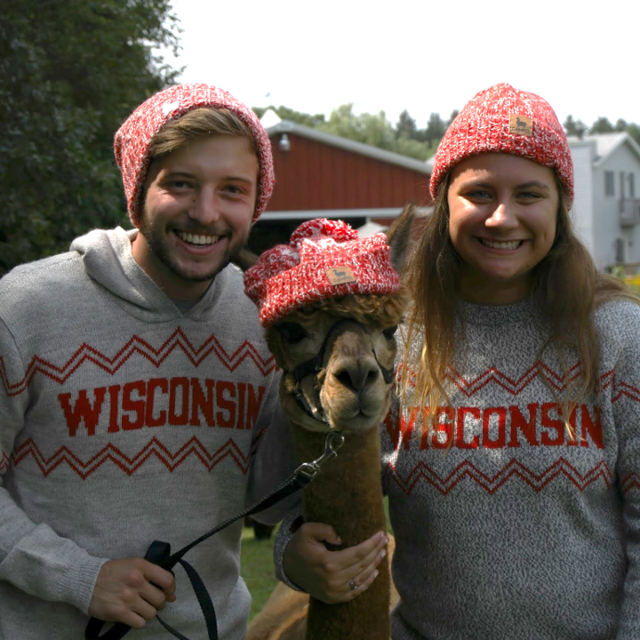 Alpaca Beanie