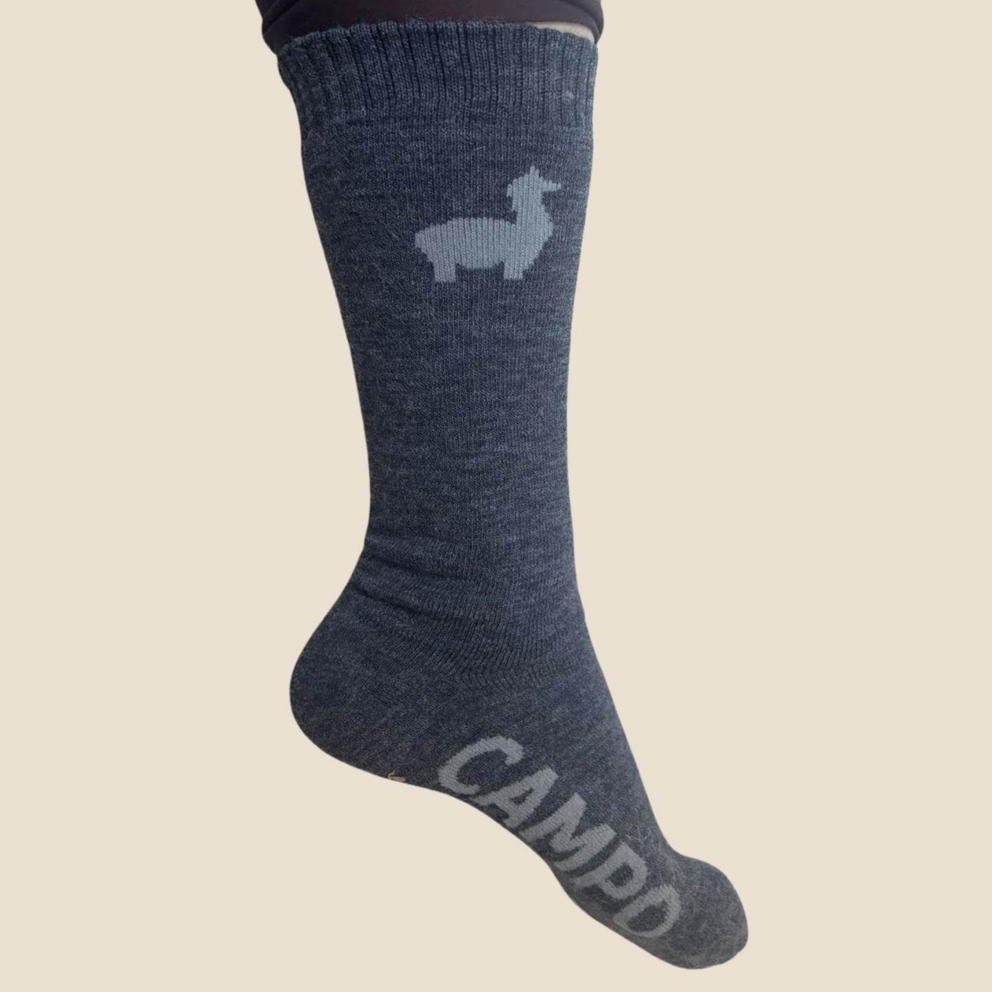 Gray sock with 'CAMPO' branding on a beige background
