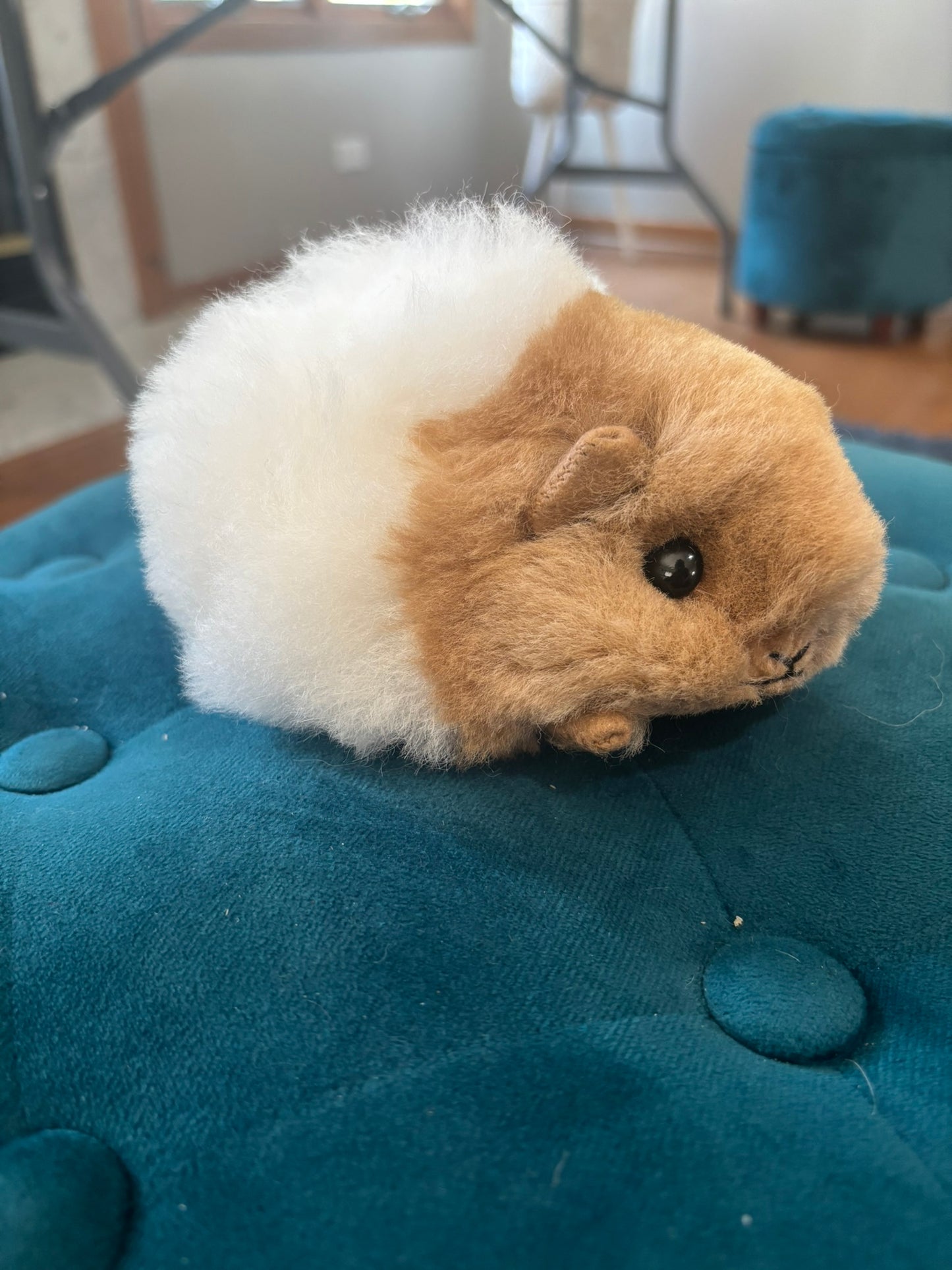 Campo Alpaca Guinea Pig plush toys displayed together in various natural colors