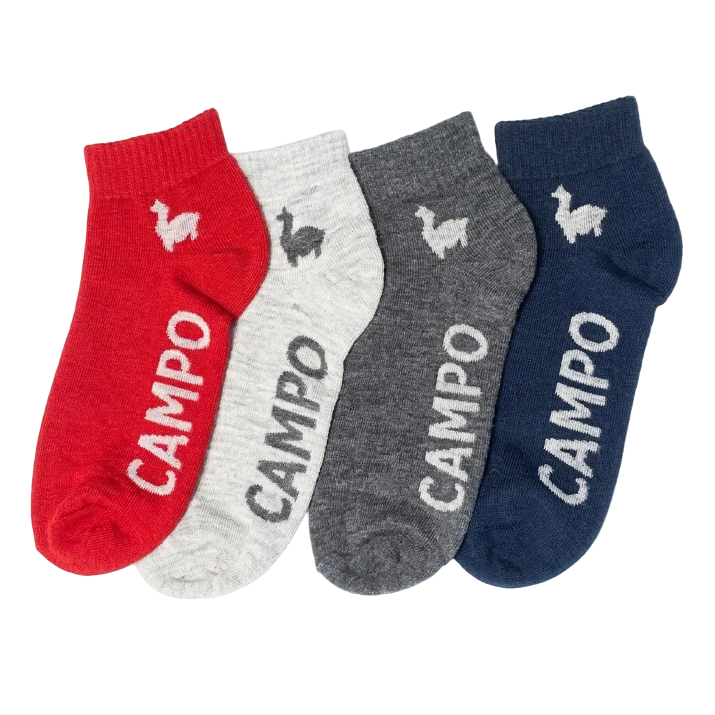 Four pairs of low-cut ankle socks in red, light gray, dark gray, and navy blue, arranged side-by-side on a white background. Each sock features the brand name 'CAMPO' printed vertically and a small goose logo near the cuff.