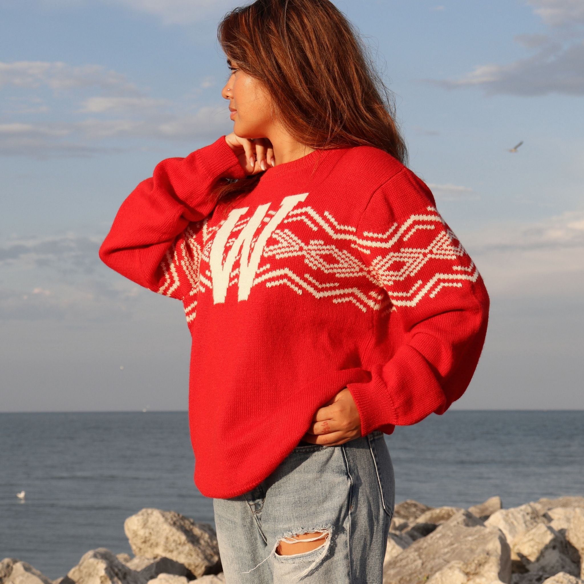 argue⭐︎ALPACA WOOL WIDE KNIT PULLOVER Big W Alpaca Sweater – Campo Alpaca