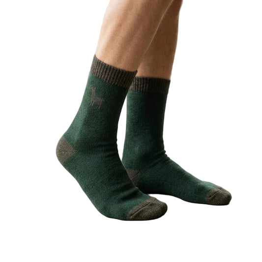 Green socks with a small design worn by a person indoors.