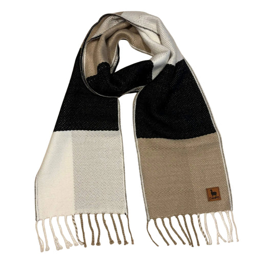 Color-blocked scarf with fringes on a beige background