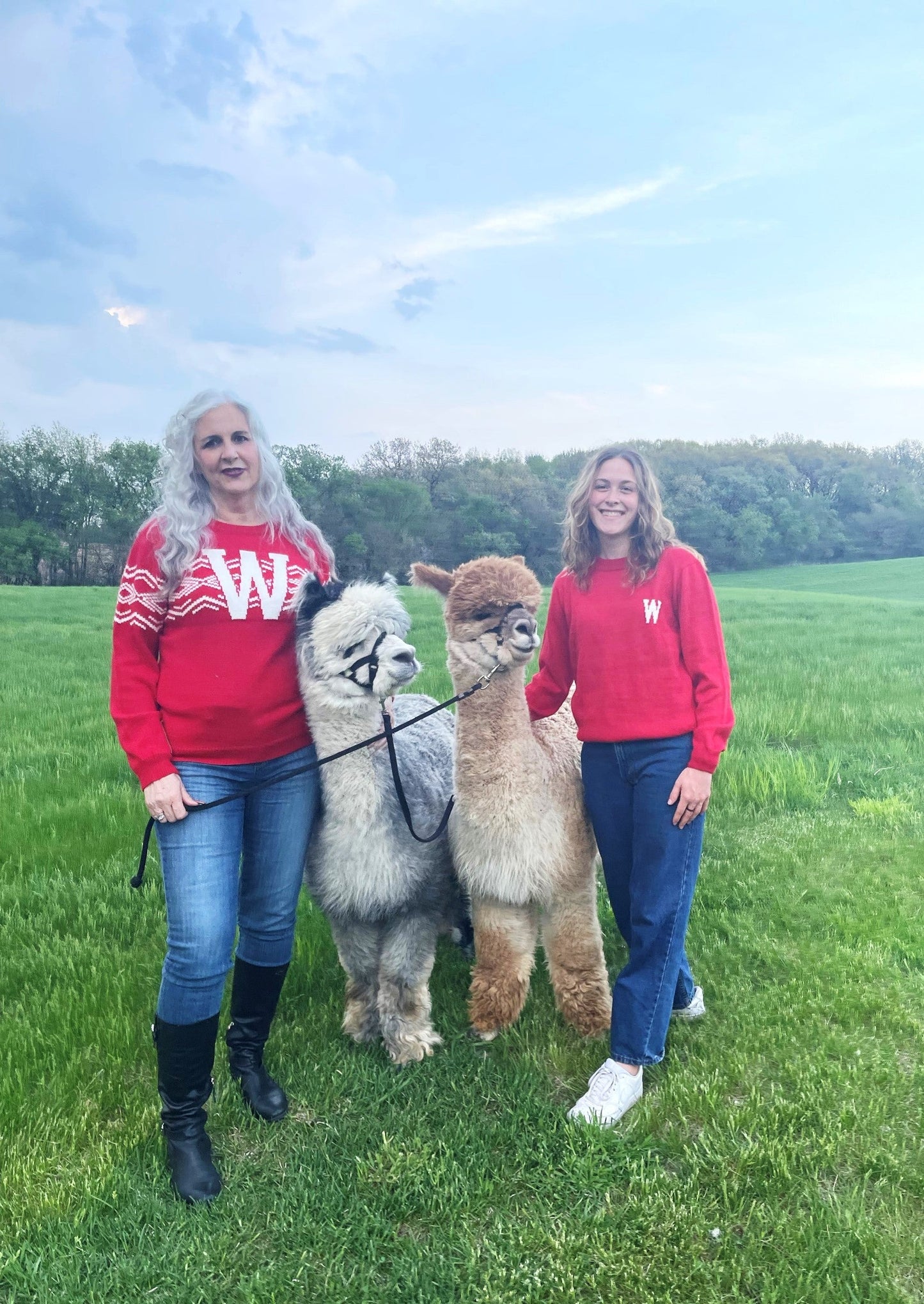 Big W Alpaca Sweater
