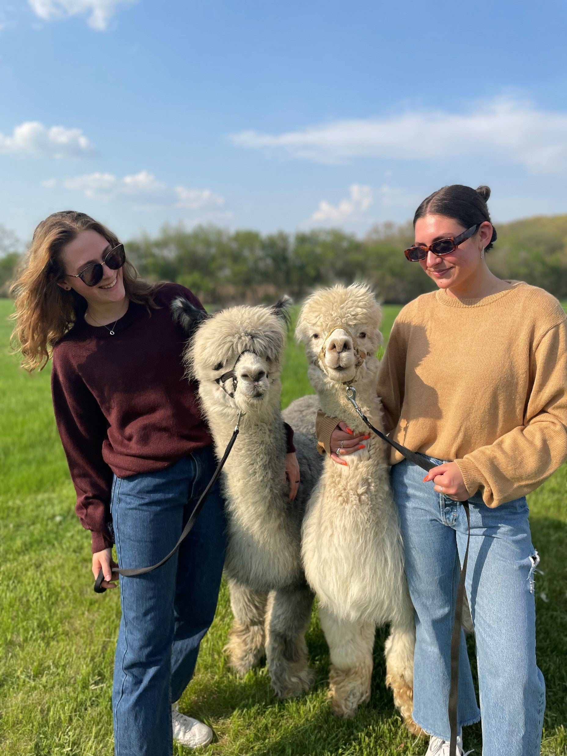 Alpaca Crew Neck Sweater in Hazelnut and Maroon – model wearing relaxed fit style