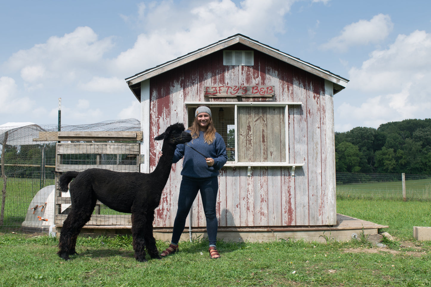 Girl outside with alpaca wearing blue alpaca crew neck sweater and headband