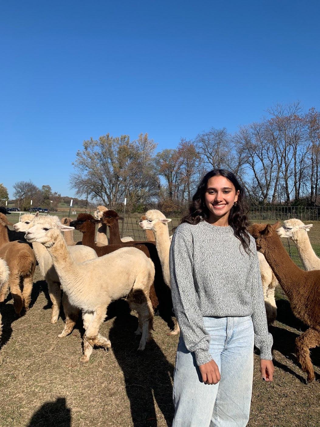 Alpaca Crew Neck Sweater - Salt & Pepper