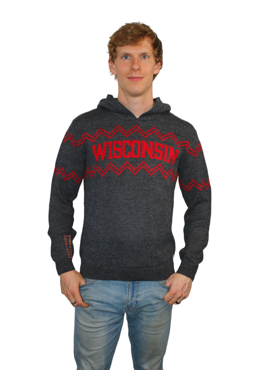 Wisconsin Alpaca Hoodie - Dark Gray