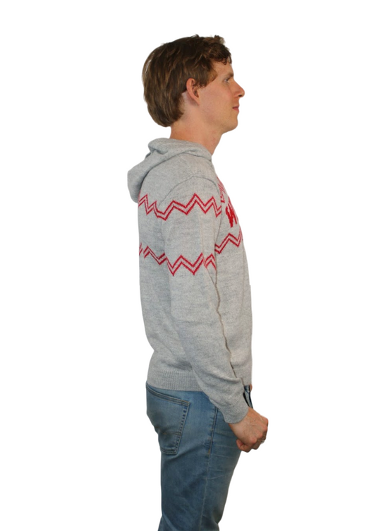 Wisconsin Alpaca Hoodie - Light Gray