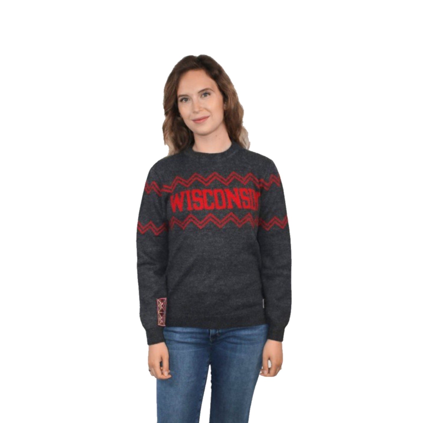 Wisconsin Crew Neck Alpaca Sweater - Dark Gray