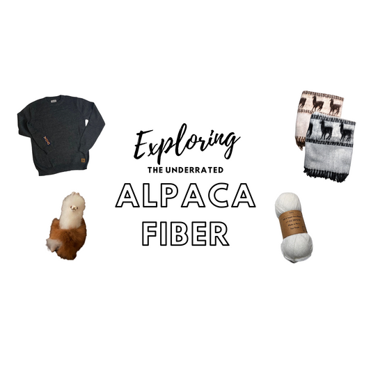 Exploring The Underrated Alpaca Fiber