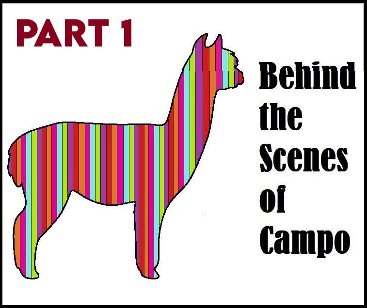 Behind the Scenes of Campo Part 1: Products
