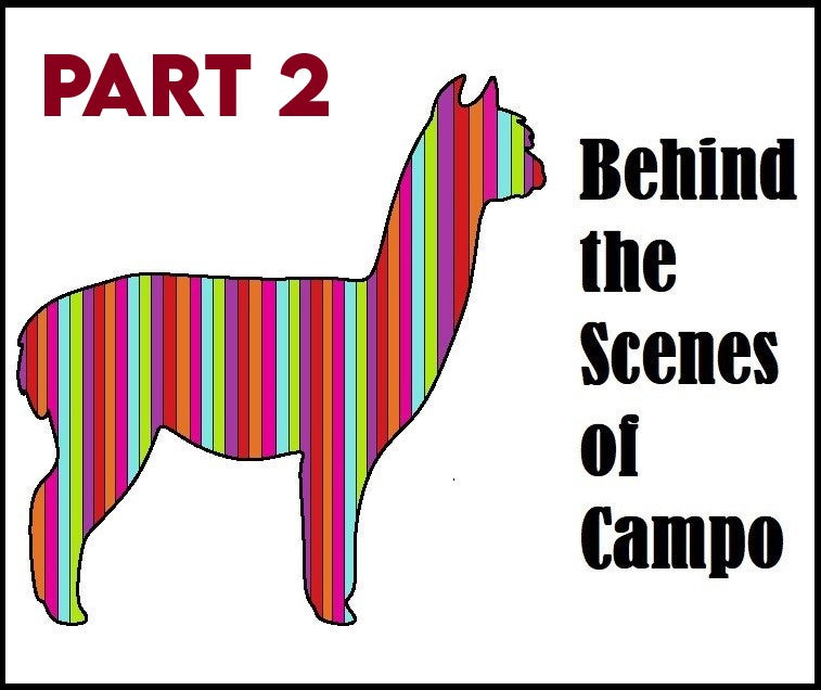 Behind the Scenes of Campo Part 2: Operations