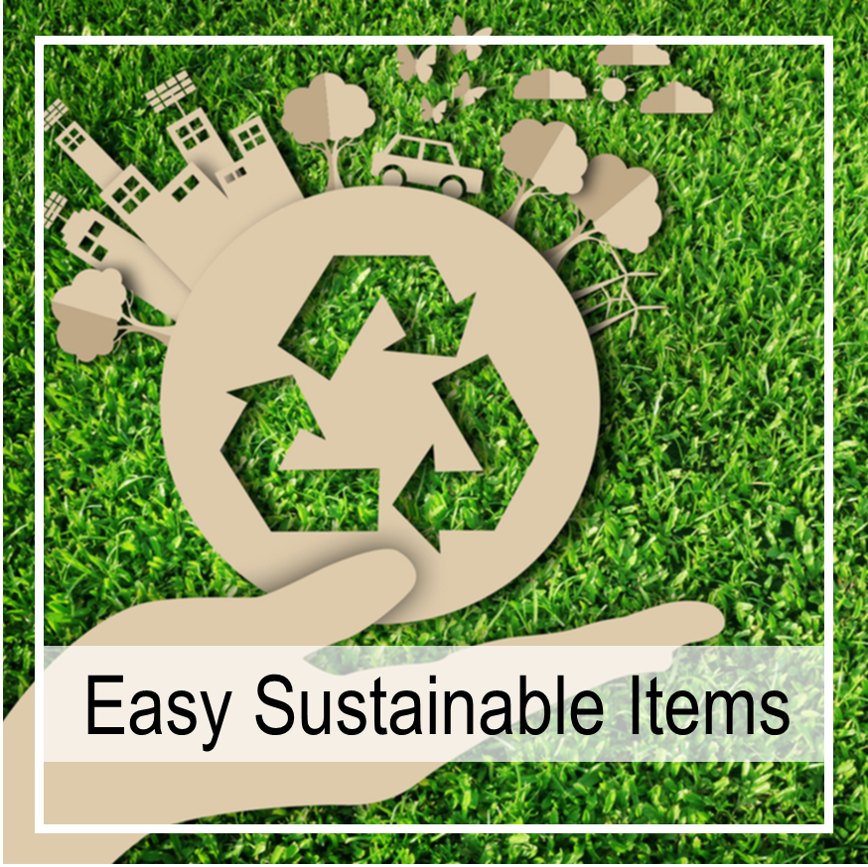 Easy Sustainable Items