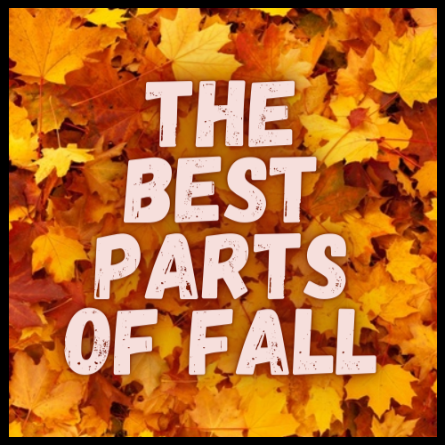 Best Parts of Fall