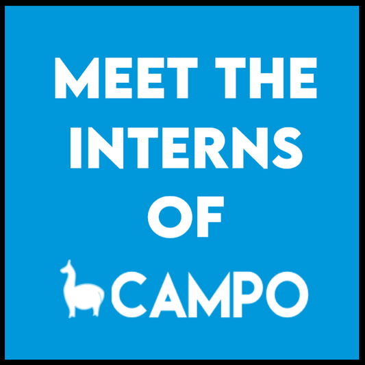 Meet the Interns of CAMPO