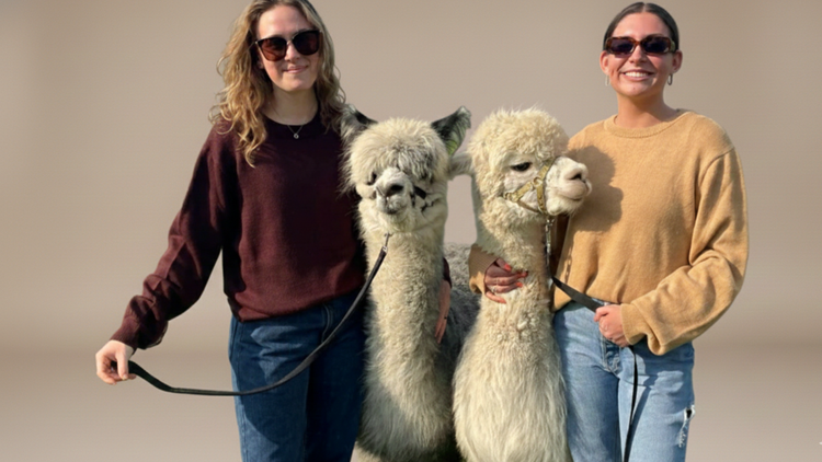 Campo Classico Collection