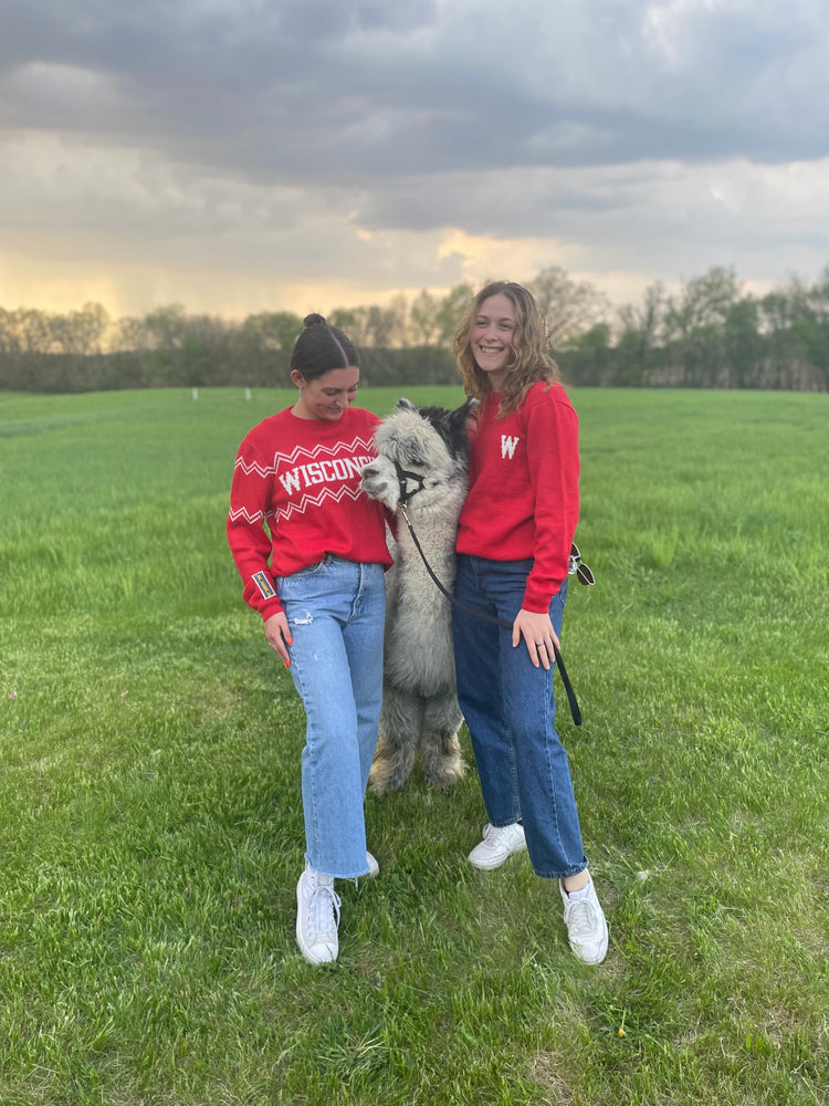 Wisconsin Sweaters & Hoodies