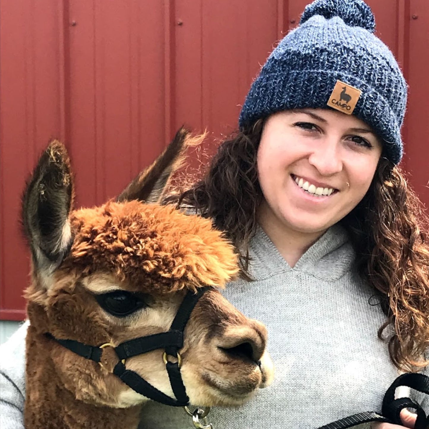Woman wearing a blue knit hat and gray sweater standing next to a brown alpaca in front of a red barn.
