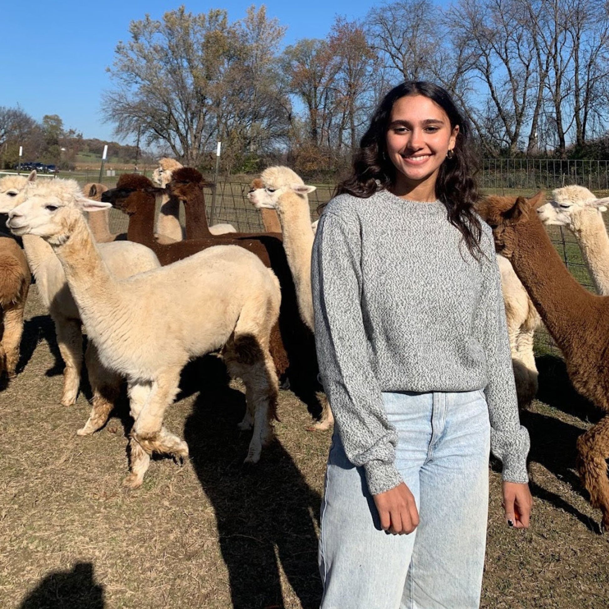 Woman standing among alpacas in an outdoor setting