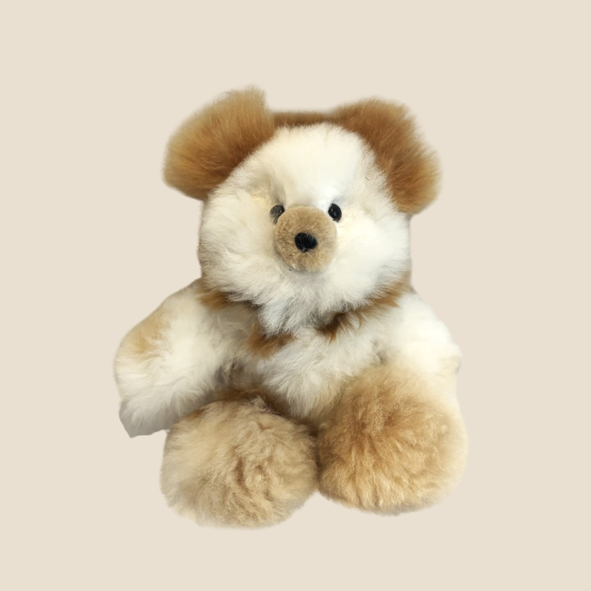 Plush teddy bear with brown and white fur on a beige background