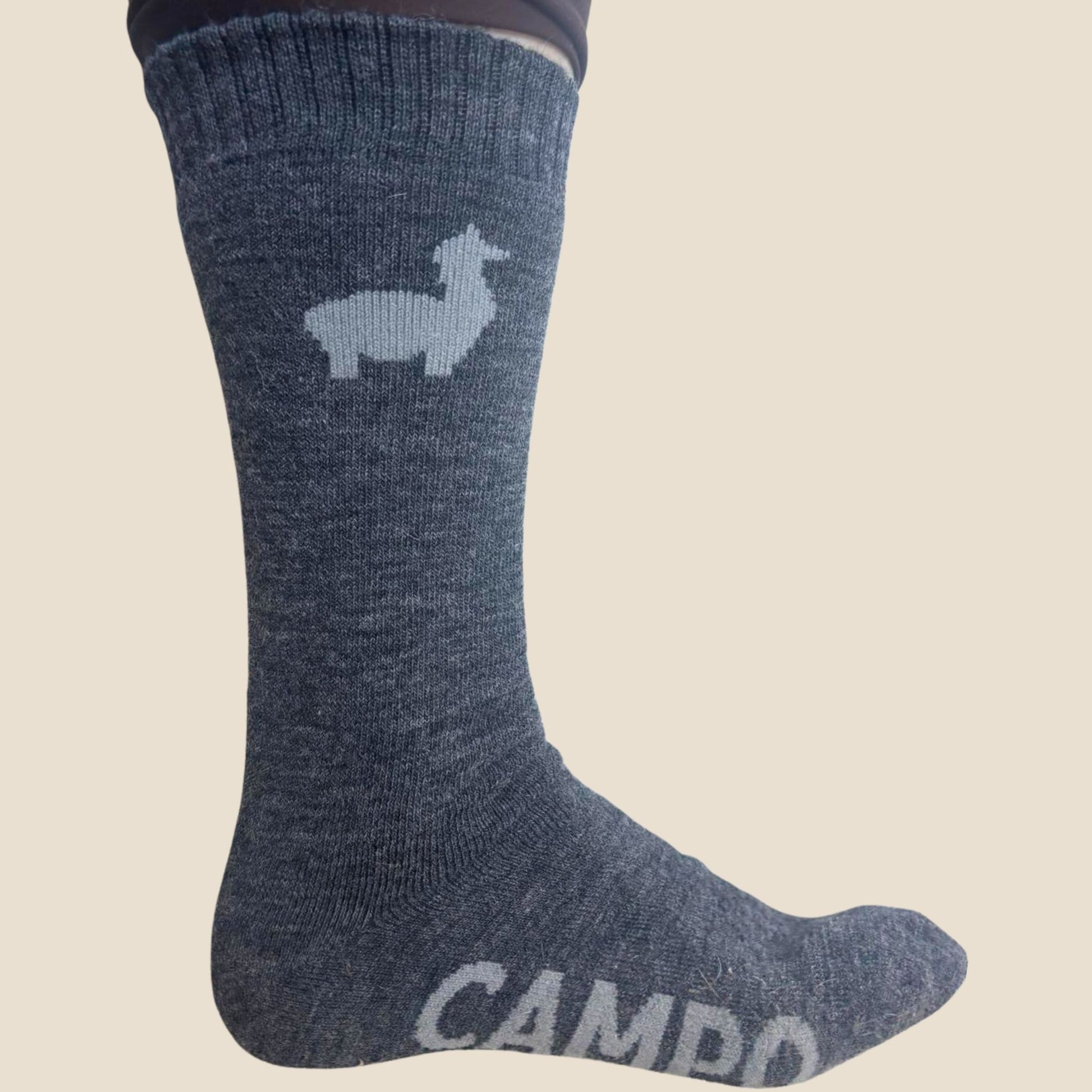 Gray sock with a alpaca design and 'Campo' branding on a beige background