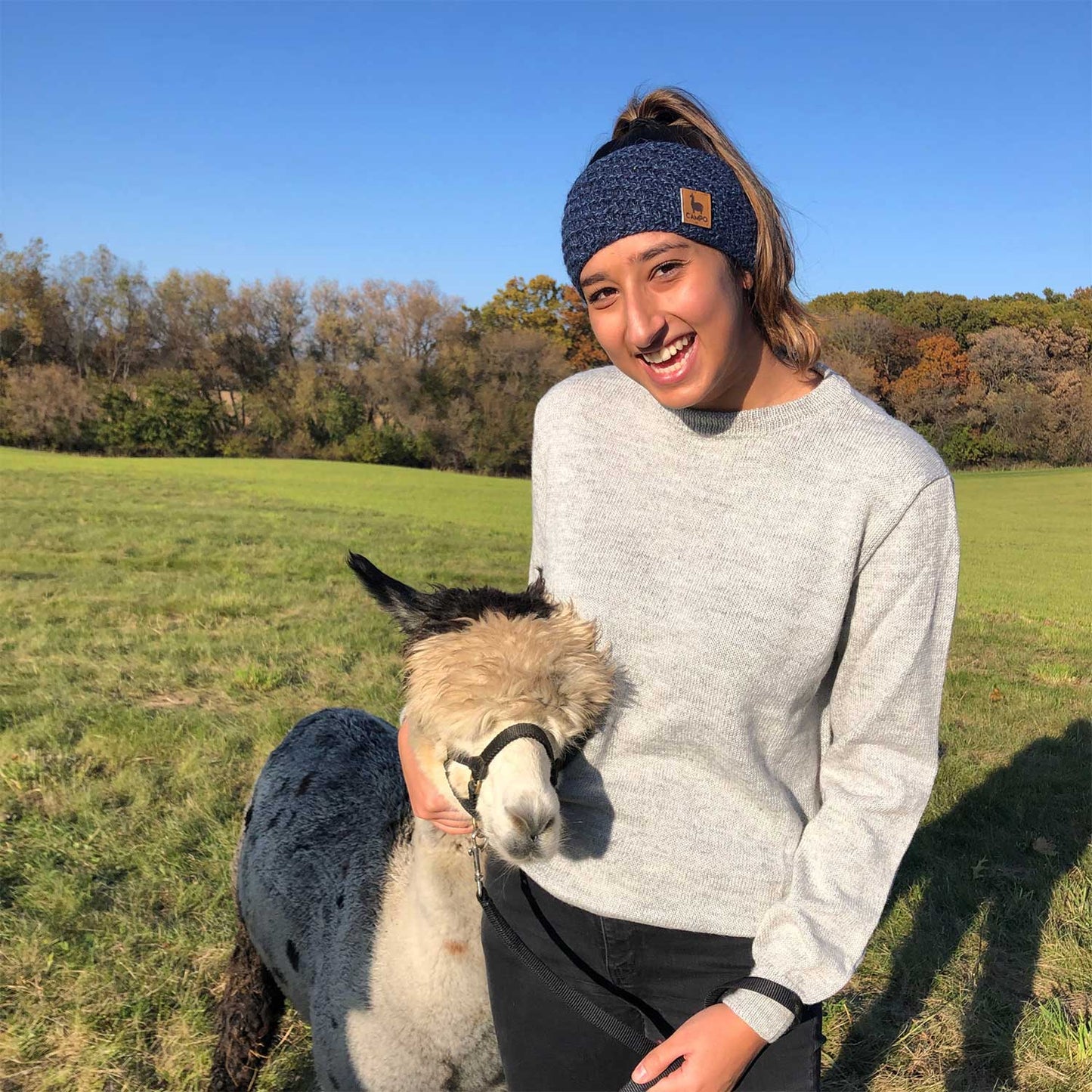 Person holding a alpaca in a field with trees and blue sky in the background