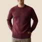 Carlos Alpaca Crew Neck Sweater (WS)