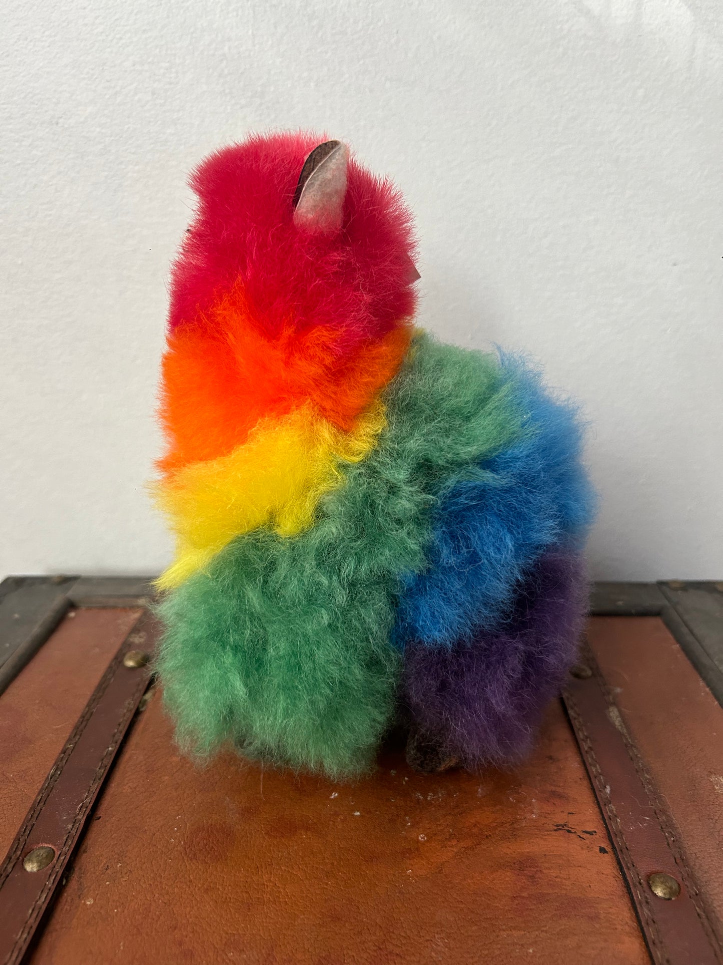 Rainbow Alpaca Fluffy