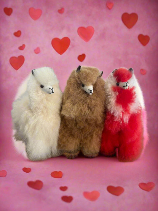 Valentine's Large Alpaca Fluffy + Chocolates Gift Bag