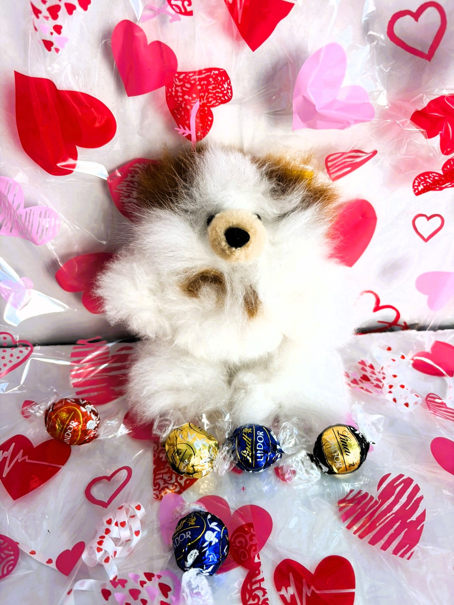 Valentine's Teddy Bear + Chocolate Gift Bag