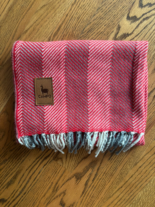 Striped Scarf - Woven Alpaca Carlos