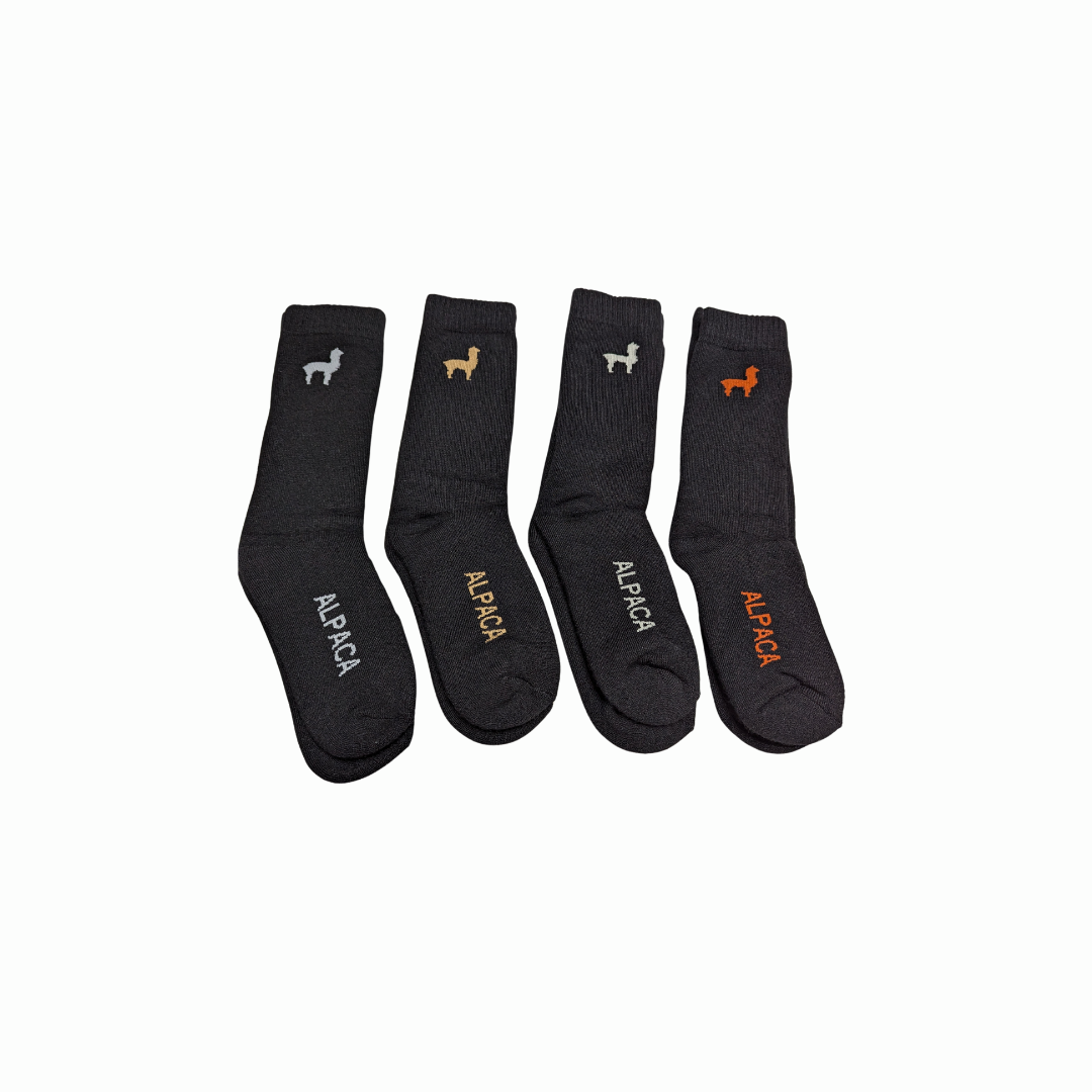 Michel Crew Socks