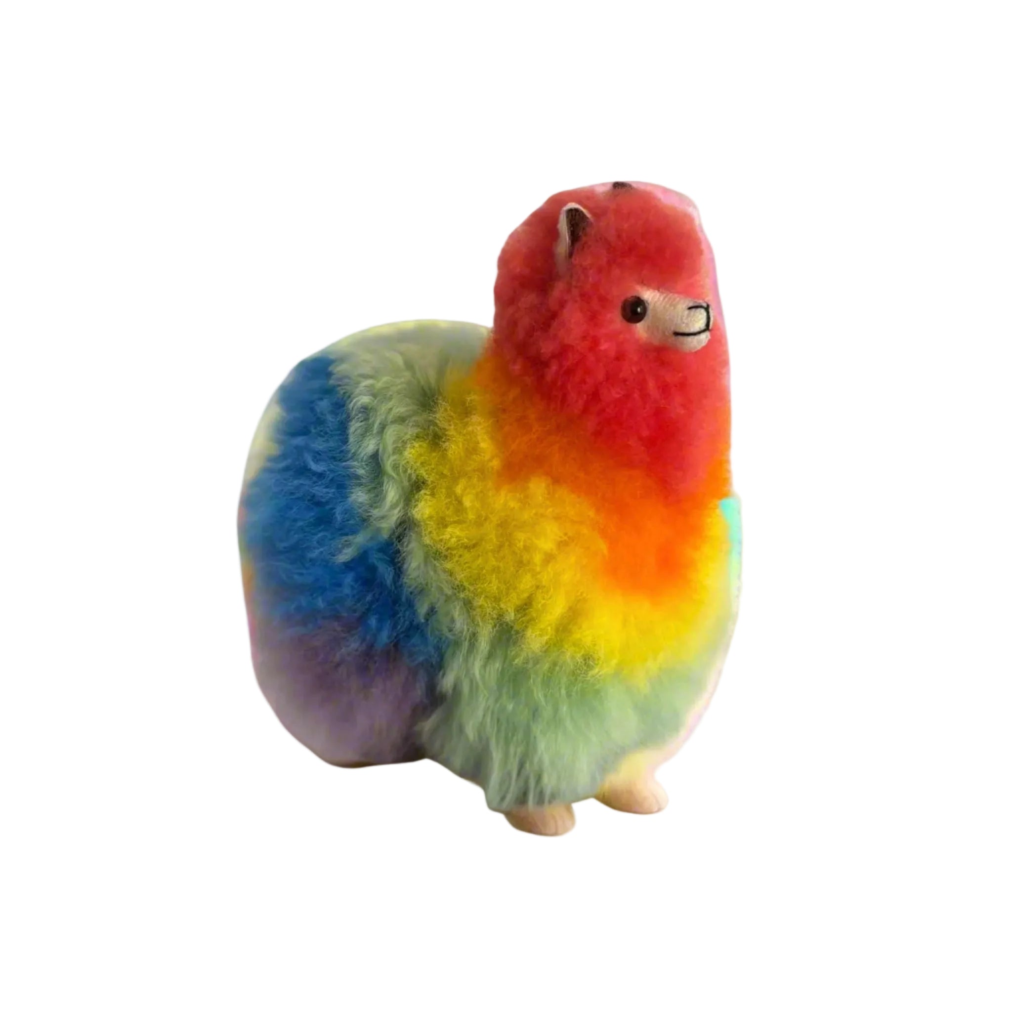 Rainbow Alpaca Fluffy (WS) – Campo Alpaca