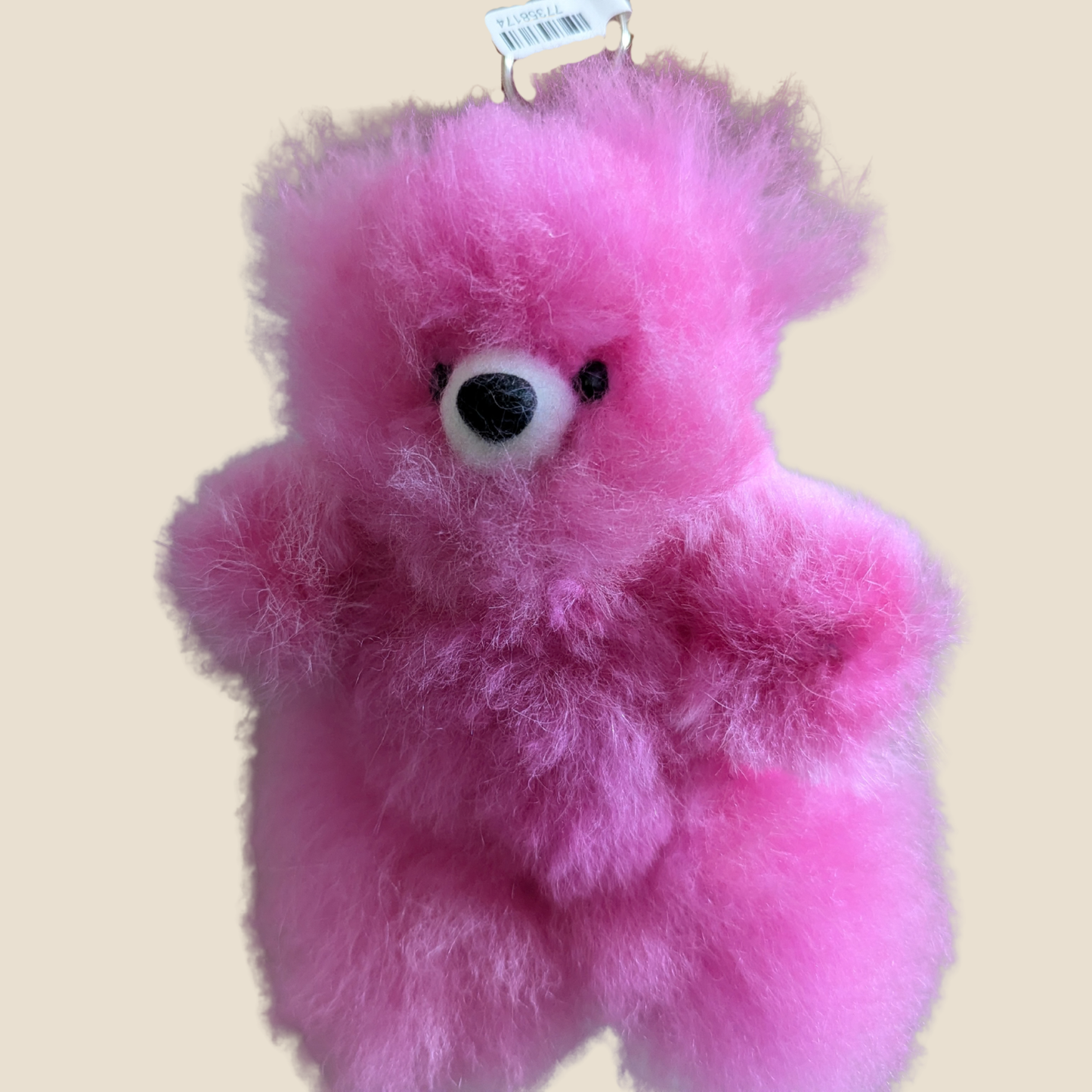 Teddy Bear Key Chains (WS)