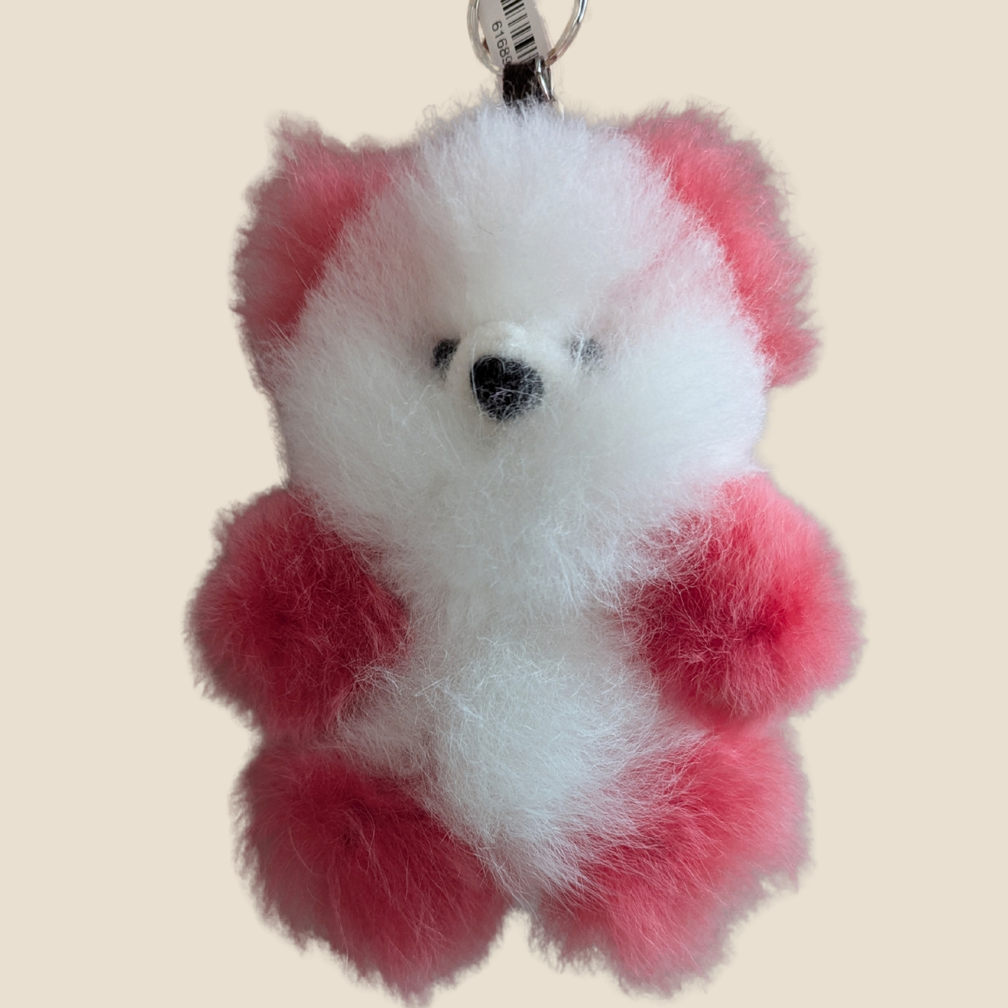 Teddy Bear Key Chains (WS)