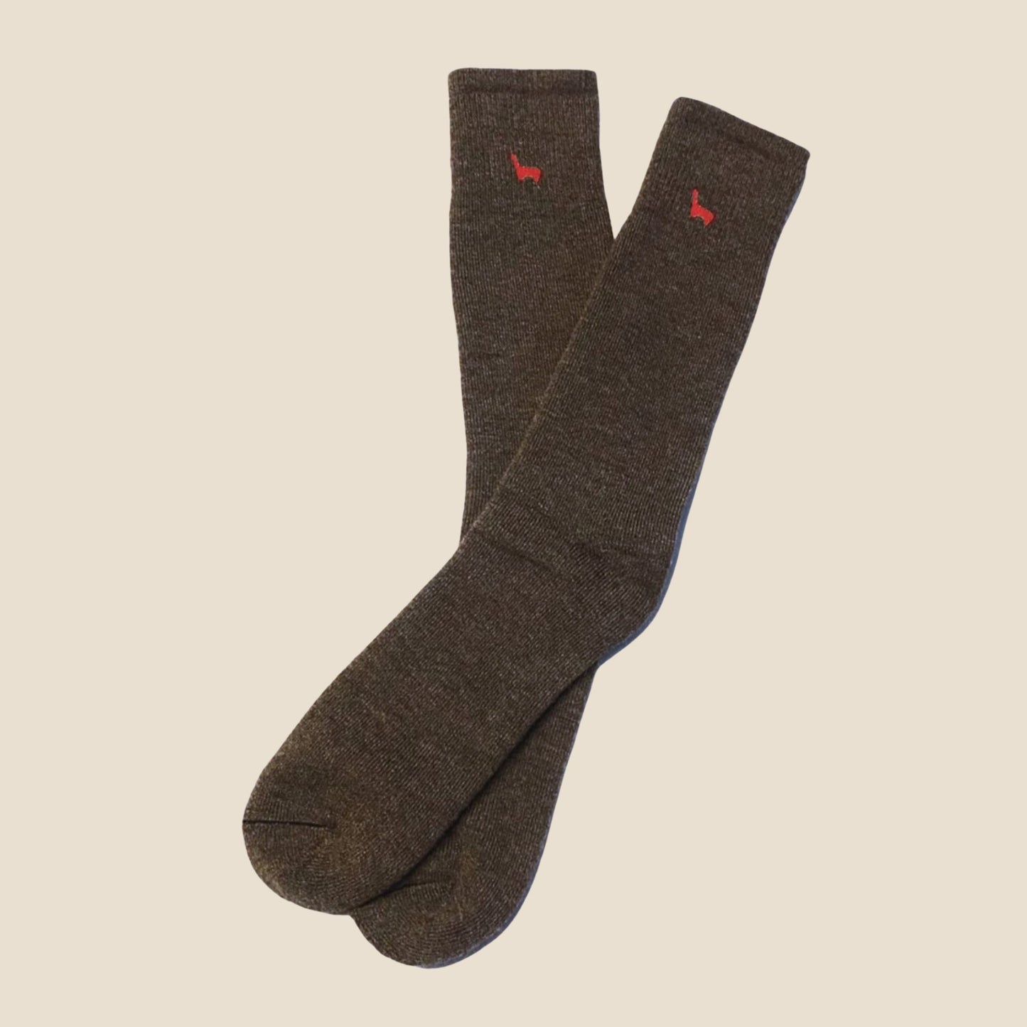 Pair of brown socks with red accents on a beige background