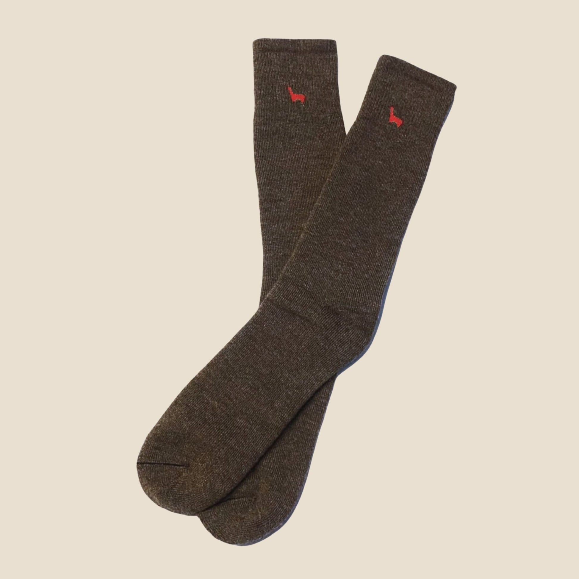 Pair of brown socks with red accents on a beige background