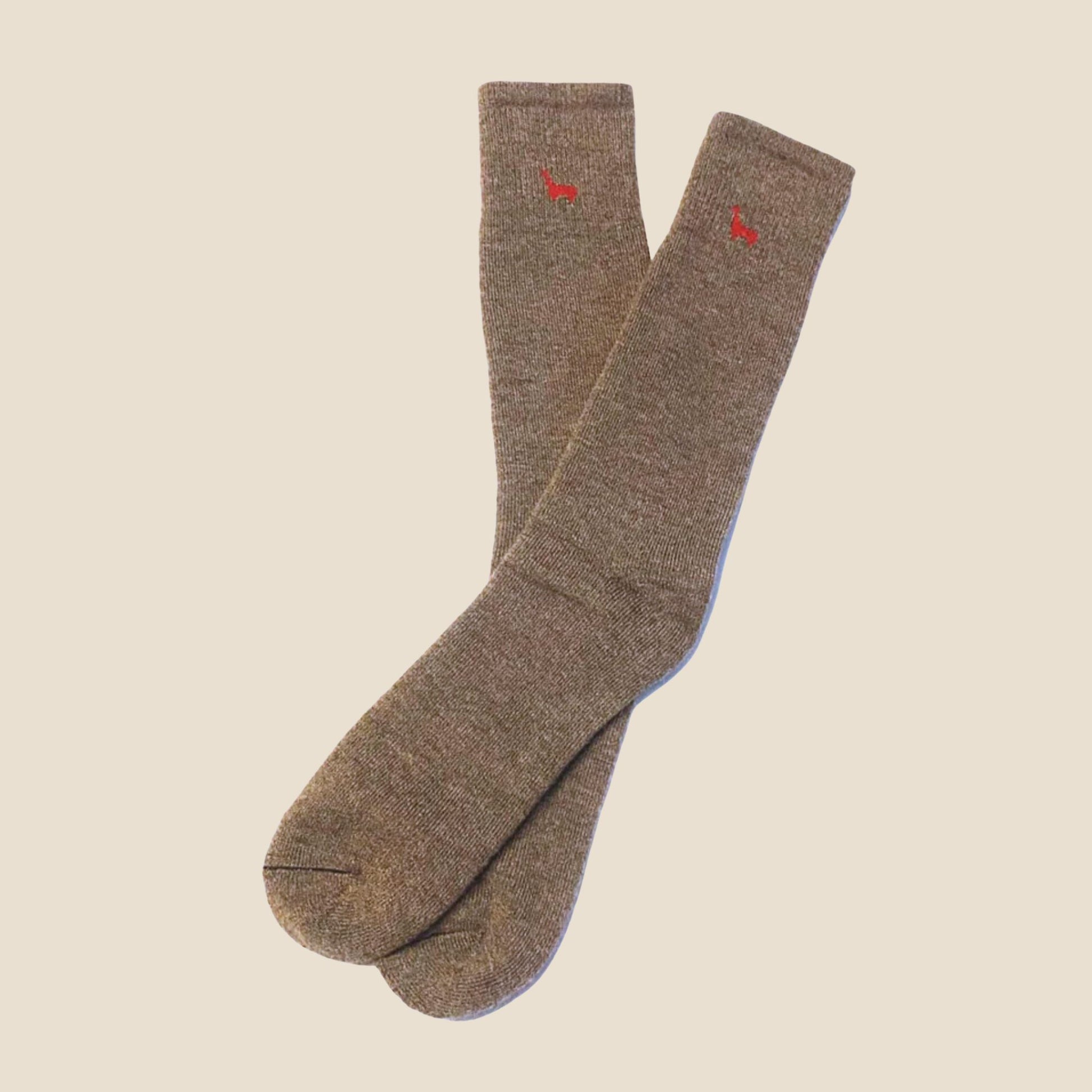 Pair of chestnut socks with red accents on a beige background