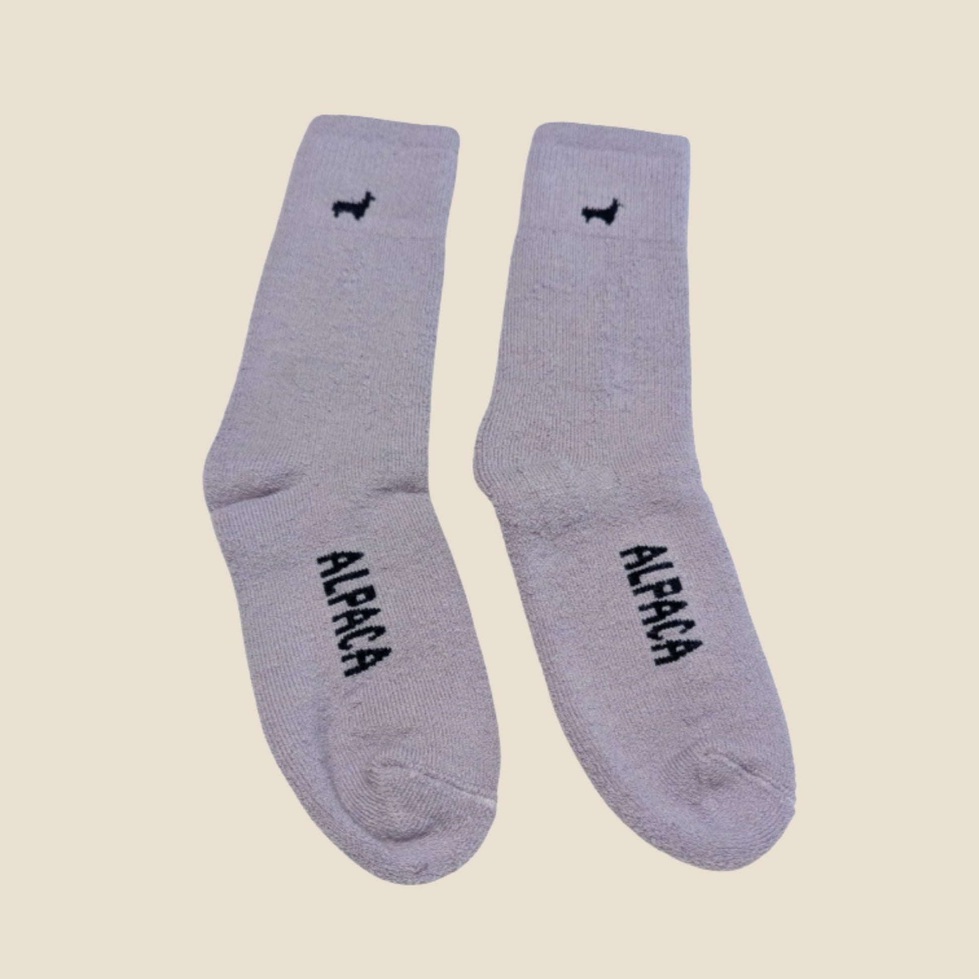 Pair of lavender socks with 'Alpaca' text on a beige background