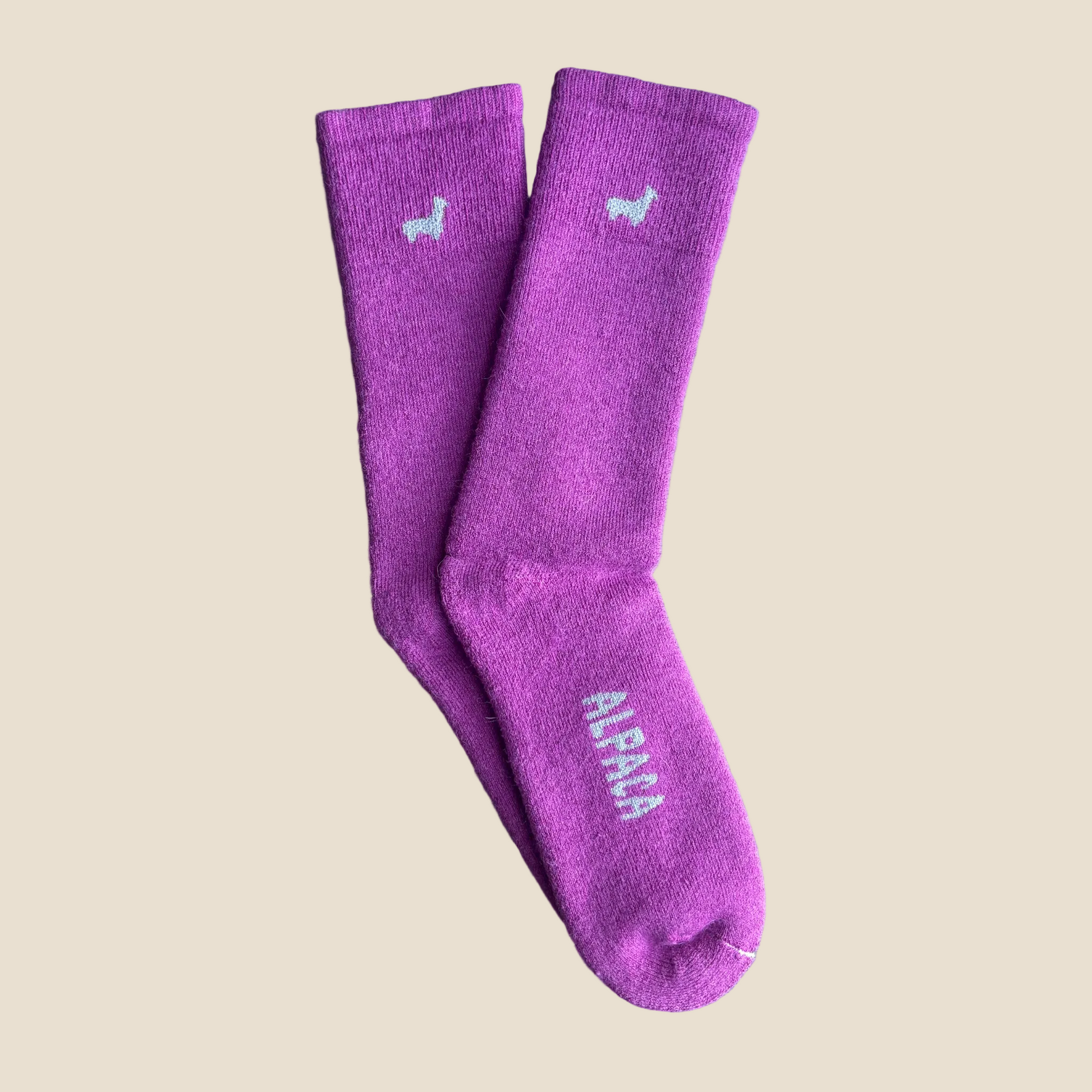 Purple socks with llama design and 'Alpaca' text on a beige background