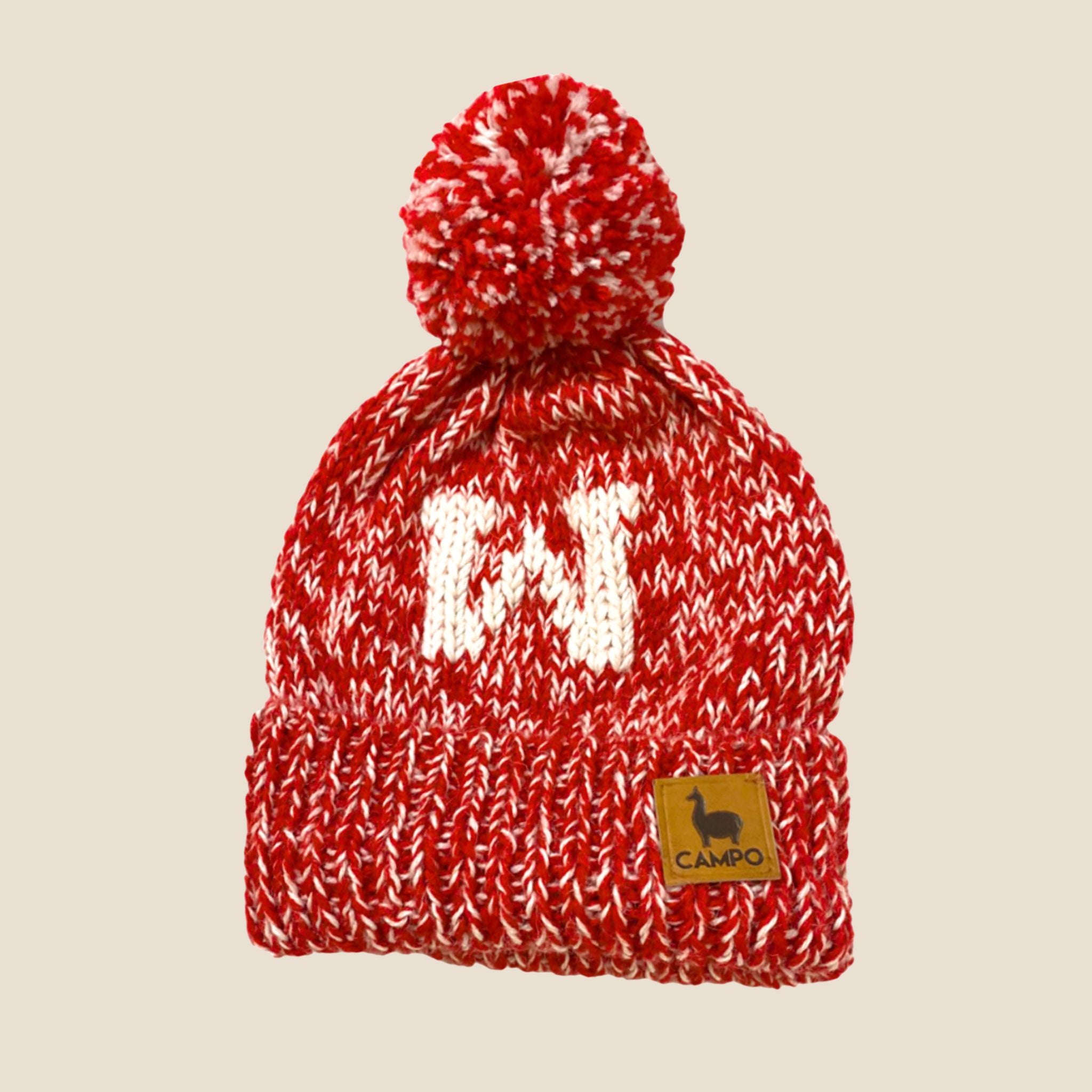 Wisconsin Alpaca Beanie – Campo Alpaca