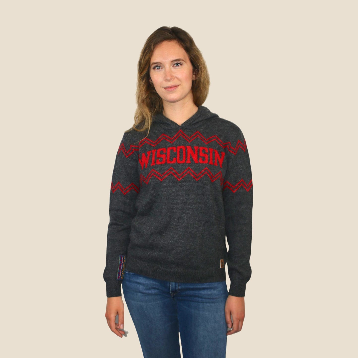 Wisconsin Alpaca Hoodie - Dark Gray