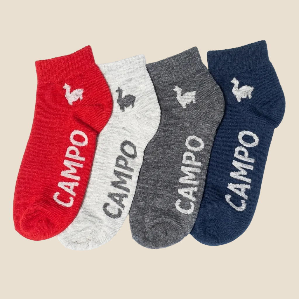 Four pairs of low-cut ankle socks in red, light gray, dark gray, and navy blue, arranged side-by-side on a white background. Each sock features the brand name 'CAMPO' printed vertically and a small goose logo near the cuff.